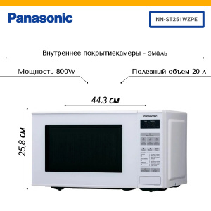 NN-ST251WZPE.jpg